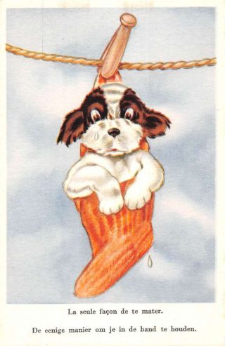 Group Of 10 French Dog Puppy Humor Comic Antique Postcards K80701