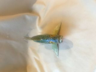 Murray Marlette Minnesota Folk Art Fish Decoy 3
