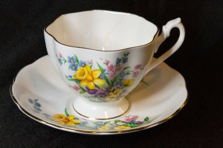 Queen Anne Daffodil Teacup & Saucer Fine Bone China Made In England