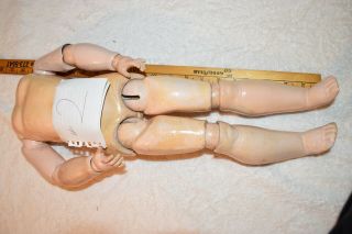 Antique German Composition Ball Jointed Doll Body,  19 In,  Antique Doll Body