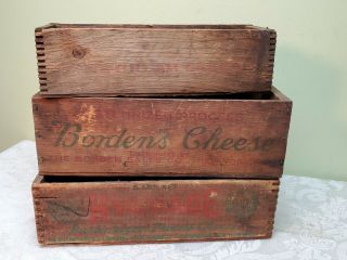 3 Antique Wooden Cheese Boxes 2 Dovetail Bordans,  Hygrade,  Smithfield Primitives
