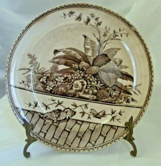 Antique G.  W.  Turner & Sons Brown Transfer Ware Brazil Pattern Plate 9.  5 " Tunstall