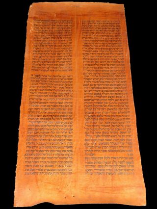Torah Scroll Bible Manuscript Fragment 200 - 250 Yrs Yemen Leviticus 14:1 - 14:49