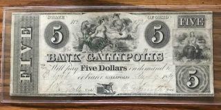 Aug 9 1839 Bank Of Gallipolis Ohio $5 Bank Note Sharp - Rare