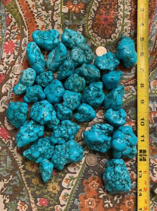 Natural Rare Spider Oyster Turquoise Rock Huge Beauties Polished Drilled 4lbs