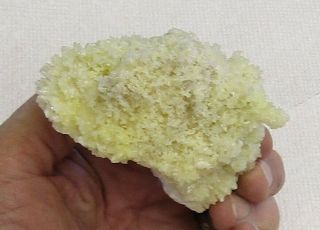 Mineral Specimen Of Novacekite (radioactive) On Aragonite From Mexico