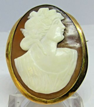 Antique Victorian Shell Portrait Cameo Brooch 9ct Gold