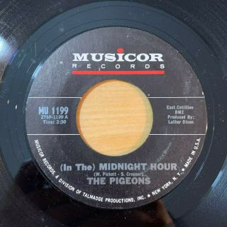 RARE The Pigeons (In The) Midnight Hour /Stick in My Corner Psych 45 Musicor VG, 3