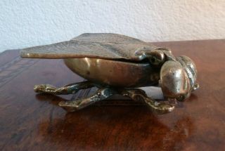 Antique Victorian Or Edwardian Brass Vesta Case - Fly Shaped
