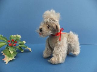 Vintage Antique German Steiff Snobby Poodle Dog Grey Mohair Toy Id 4435/14 Bear
