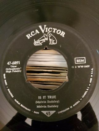 Melvin Endsley - Is It True/ I Like Your Kind Of Love Rare Rockabilly Germany