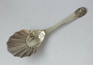 Antique Victorian Solid Sterling Silver Tea Caddy Spoon 1900/ L 11 Cm