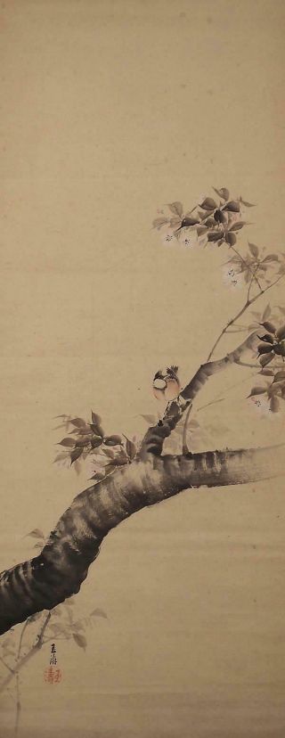 2127 Japanese Hanging Scroll: Bird On Cherry Tree