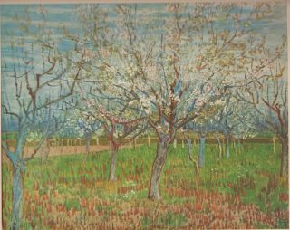 Vincent Van Gogh The Orchard Painted 1888 At Arles Art Print From Book