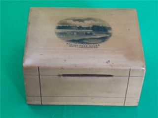 Antique Mauchline Ware Puzzle Money Box Treen Salop Shropshire Oteley Park