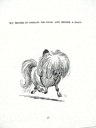 Horse Pony Children Vintage Print Book Plate 1960s Open Ed 8 X 6 In.