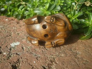 Hand Carved Wood Netsuke Wild Boar Looks Up Collectable Boxwood Pig Figure