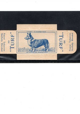 1952 Dog Turf Tobacco Card,  Rare Full Margin Card,  Welsh Corgi,  Top