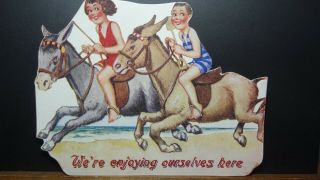 Donald Mcgill Die Cut Comic Postcard: Seaside Donkey Rides Humour Rare