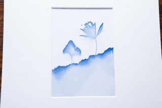 Pellets Positive Cyanotype / Extremely Rare Photographic Drawing