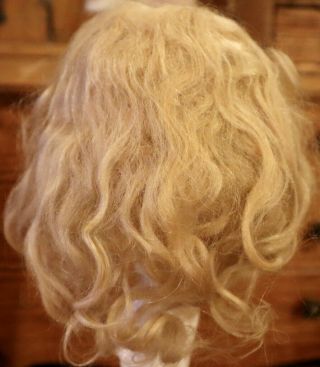 23 Antique Finest 11 " Mohair Doll Wig For Antique French Or German Bisque Doll