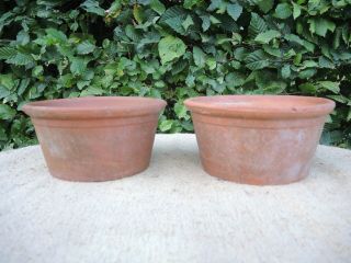 2 Old Sankey Bulwell Hand Thrown Half Height Terracotta Plant Pots 7 " (828)