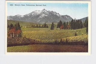 Antique Postcard National State Park Yellowstone Electric Peak