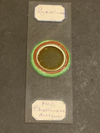 H M S Challenger Rare Victorian Antique Microscope Slide Dredgings Circa 1872