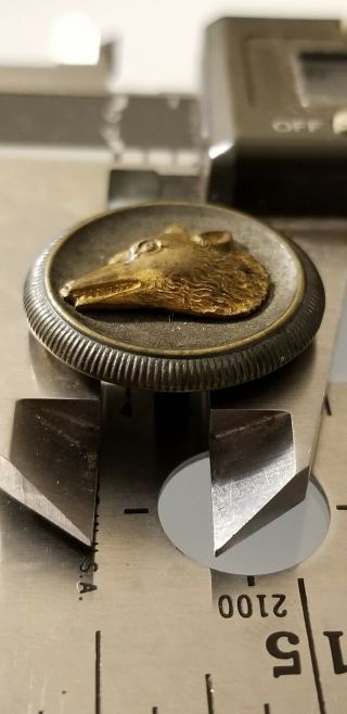 Antique BUTTON,  1800s Gold Tone Fox Head,  Extra Fein,  Rare 19th Century 2