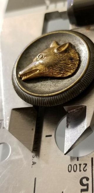 Antique BUTTON,  1800s Gold Tone Fox Head,  Extra Fein,  Rare 19th Century 3