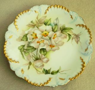 Antique Hand Painted Limoges France Plate White Climbing Roses Scalloped W Gold