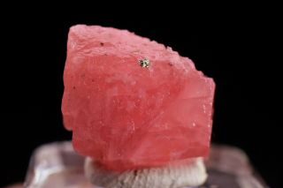 3g Natural Red Rhodochrosite Crystal Rough Rare Mineral Specimen China
