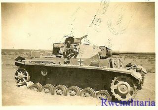 RARE US Soldier Posed w/ KO ' d German Pzkw.  III Panzer Tank; North Africa 2
