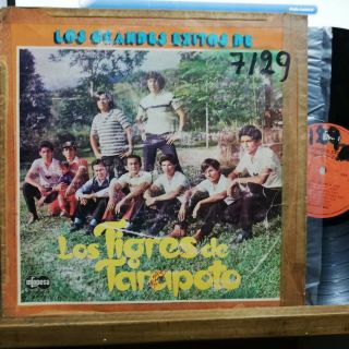 Los Tigres De Tarapoto Rare Peru Infopesa Cumbias 94 Listen