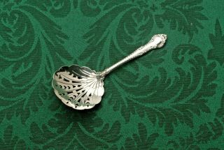 English Gadroon By Gorham Sterling Silver Bon Bon,  Nut Or Candy Spoon 4.  75 "