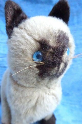 Lovely Antique Vintage Siamese Cat Teddy Bear`s Friend Part Wood Wool 9.  5 " Tall