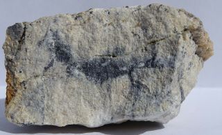 Fairly Rich Tiemannite - - Lucky Boy Mine,  Marysvale,  Utah - - Rare Mercury Selenide