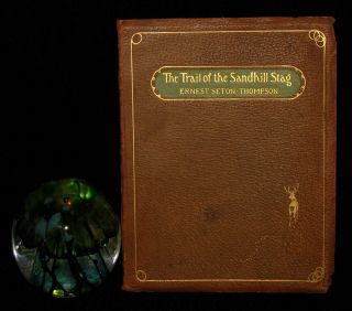 1899 Rare Limited 1st Ed - The Trail Of The Sandhill Stag Ernest Thompson Seton