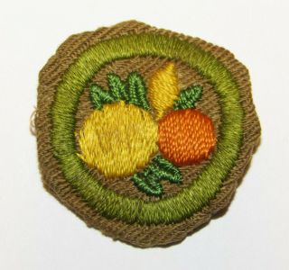Citrus Fruit Culture Merit Badge Type C Boy Scouts Of America Rare 1940 