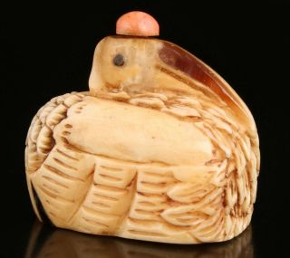 Precious Chinese Cattle B0ne Snuff Bottle Statue Duck Hand - Carved Old Mascot