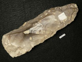 8500y.  O:very Large Ax Adze 142mms Danish Stone Age Mesolithic Flint Maglemose C