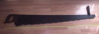 Antique Vintage Disston Two Man Saw 54 Inches Long.  Lumber Jack Tool Wood