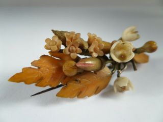 Antique,  Carved & Dyed Celluloid,  Autumnal Leaves & Flowers Brooch - 1910/20 
