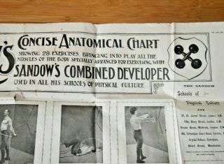Eugene Sandow ' s Concise Anatomical Wall Chart C.  1900 Bodybuilding Rare E402 3