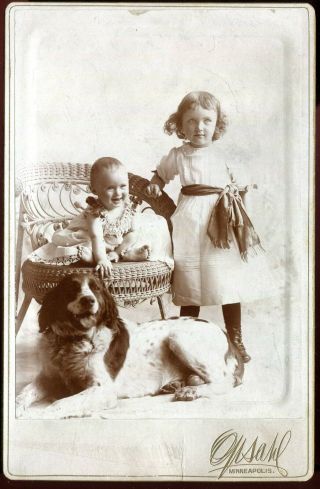 Antique Cabinet Card Photograph,  Kids And Dog Minneapolis Minnesota Mn