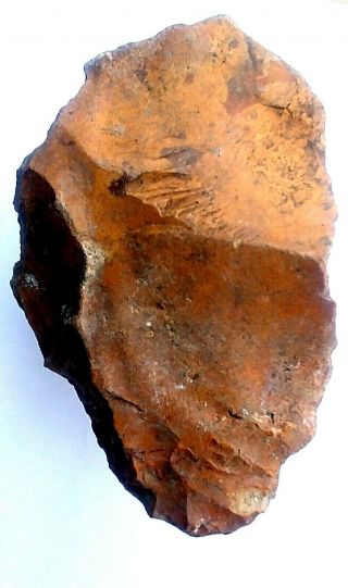 550 Gram Flint Stone Hand Axe Tool Neanderthal Paleolithic