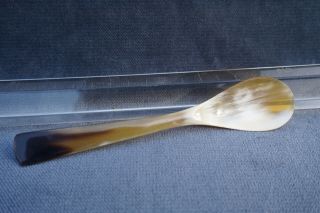 Antique Baby - Feeder Infant Feeding Spoon Medical Apothecary Pharmacy 1800`s Horn