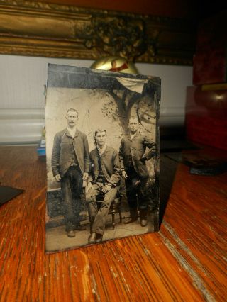 Antique Tintype Photo,  3 Young Men In Suits