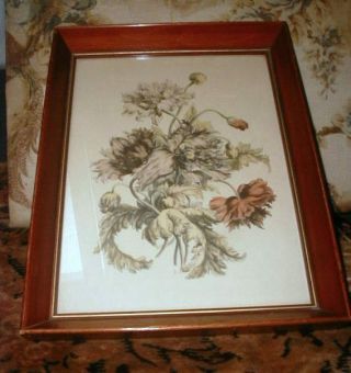 Antique Victorian Era Botanical Print In Fine Shadow Box Frame Chromolithograph