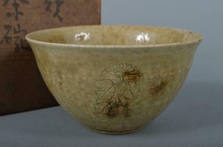 M1229: Japanese Old Seto - Ware Flower Sculpture Tea Bowl Green Tea Tool W/box
